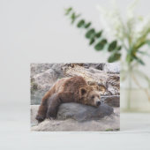 岩の上で休む白熊 ポストカード (スタンド正面)