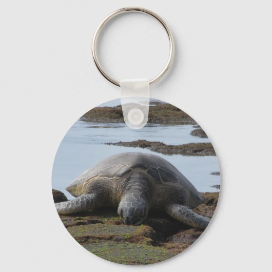 岩の上で休んでいる亀 キーホルダー (正面)