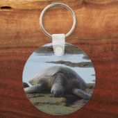 岩の上で休んでいる亀 キーホルダー (正面)