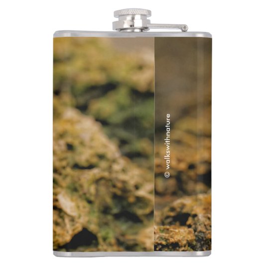 岩の上で可愛いゼブラフィンチソンバード フラスク (裏面)