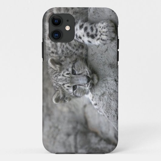 岩の上で寝そべる生後4ヶ月のユキヒョウ Case-Mate iPhoneケース (裏面)