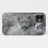 岩の上で寝そべる生後4ヶ月のユキヒョウ Case-Mate iPhoneケース (裏面(横))