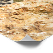 岩の上にアフリカのチーター ポスター (角)