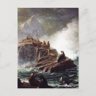 岩の上にシール，ファラロン諸島 – Bierstadt ポストカード