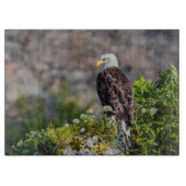 岩の上に座っているハゲのワシ カッティングボード (正面)