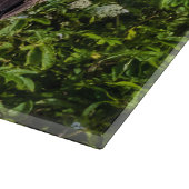 岩の上に座っているハゲのワシ カッティングボード (角)