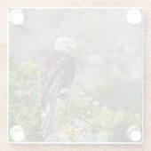 岩の上に座っているハゲのワシ ガラスコースター (裏面)