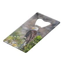 岩の上に座っているハゲのワシ