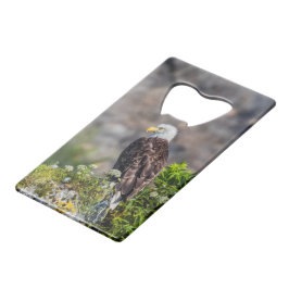 岩の上に座っているハゲのワシ クレジットカード栓抜き