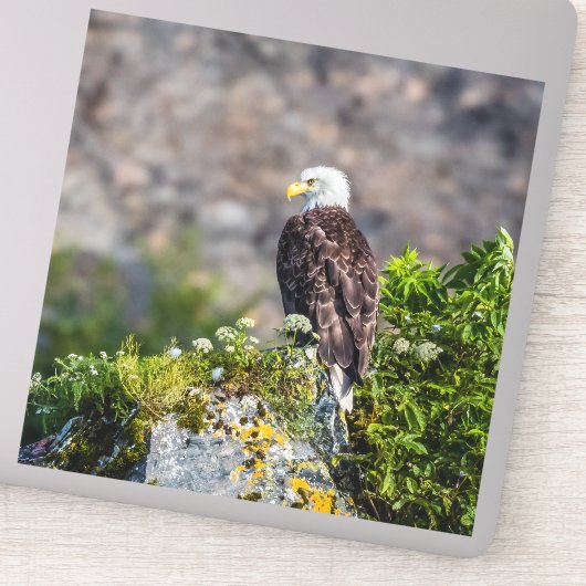 岩の上に座っているハゲのワシ シール (詳細)