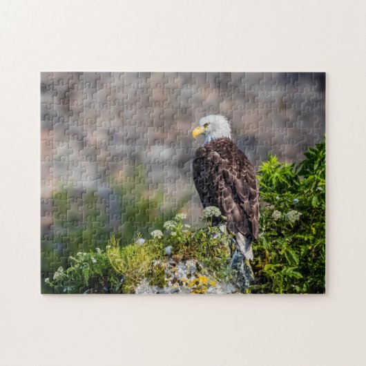 岩の上に座っているハゲのワシ ジグソーパズル (横)