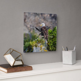 岩の上に座っているハゲのワシ スクエア壁時計