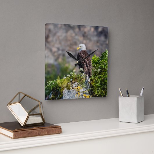 岩の上に座っているハゲのワシ スクエア壁時計 (オフィス)