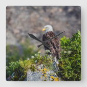 岩の上に座っているハゲのワシ スクエア壁時計 (正面)