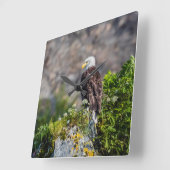 岩の上に座っているハゲのワシ スクエア壁時計 (傾斜)