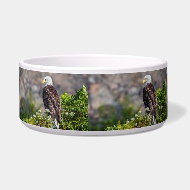 岩の上に座っているハゲのワシ ボウル (左)