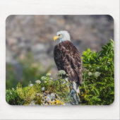 岩の上に座っているハゲのワシ マウスパッド (正面)