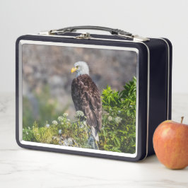 岩の上に座っているハゲのワシ メタルランチボックス