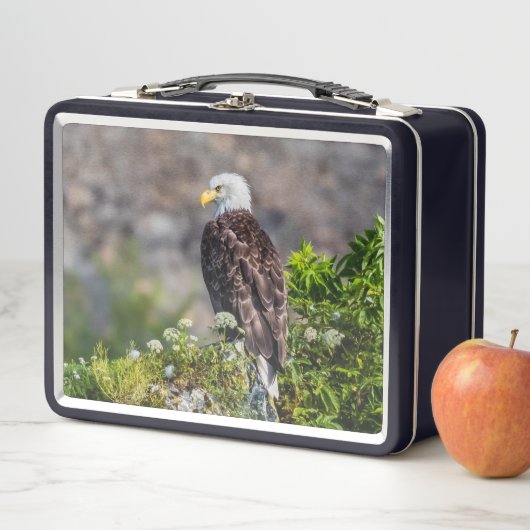 岩の上に座っているハゲのワシ メタルランチボックス (インサイチュ)