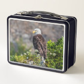 岩の上に座っているハゲのワシ メタルランチボックス (正面)