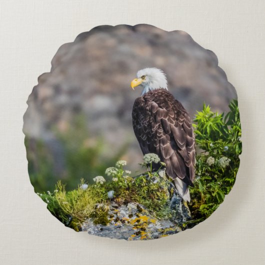 岩の上に座っているハゲのワシ ラウンドクッション (正面)