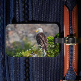 岩の上に座っているハゲのワシ ラゲッジタグ