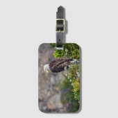 岩の上に座っているハゲのワシ ラゲッジタグ (正面縦)