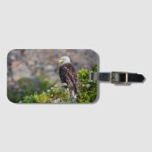 岩の上に座っているハゲのワシ ラゲッジタグ (正面横)