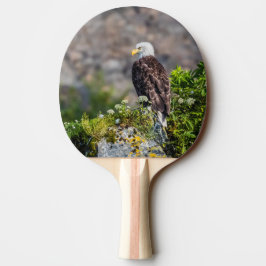 岩の上に座っているハゲのワシ 卓球ラケット
