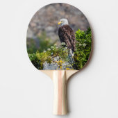 岩の上に座っているハゲのワシ 卓球ラケット (正面)