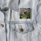 岩の上に座っているハゲのワシ 缶バッジ (インサイチュ)