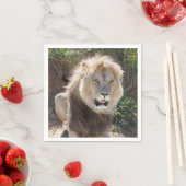 岩の上に座っているライオン スタンダードカクテルナプキン (インサイチュ)