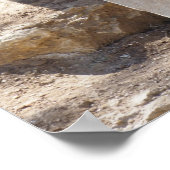 岩の上に座っているライオン ポスター (角)