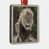 岩の上に座っているライオン メタルオーナメント (右)