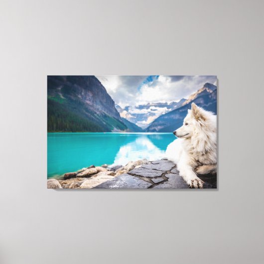 岩の上に座っている白い犬 キャンバスプリント (正面)