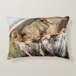 岩の上に横たわるアシカ アクセントクッション