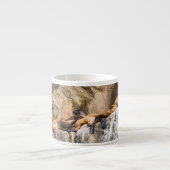 岩の上に横たわるアシカ エスプレッソカップ (正面)