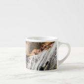 岩の上に横たわるアシカ エスプレッソカップ (右)