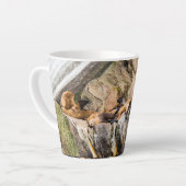 岩の上に横たわるアシカ カフェラテマグ (左アングル)