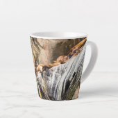 岩の上に横たわるアシカ カフェラテマグ (右アングル)