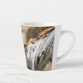 岩の上に横たわるアシカ カフェラテマグ (右)