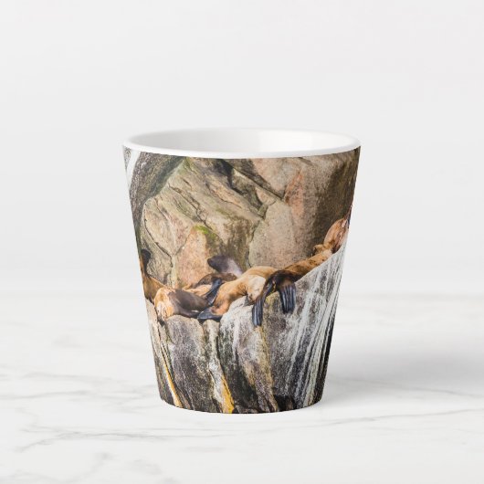 岩の上に横たわるアシカ カフェラテマグ (正面)