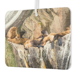 岩の上に横たわるアシカ カーエアーフレッシュナー