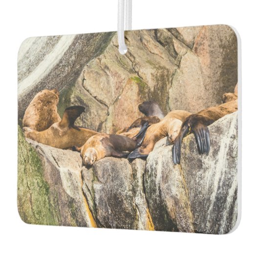 岩の上に横たわるアシカ カーエアーフレッシュナー (左)