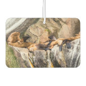 岩の上に横たわるアシカ カーエアーフレッシュナー (正面)