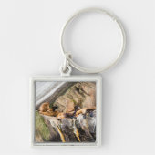 岩の上に横たわるアシカ キーホルダー (正面)