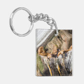 岩の上に横たわるアシカ キーホルダー (正面左)