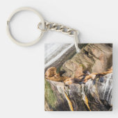 岩の上に横たわるアシカ キーホルダー (正面)