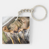 岩の上に横たわるアシカ キーホルダー (裏面)