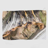 岩の上に横たわるアシカ ゴルフタオル (横)